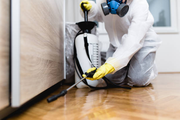 Best Pest Removal Services  in Elm City, NC