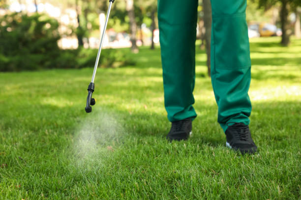 Best Bed Bug Extermination  in Elm City, NC
