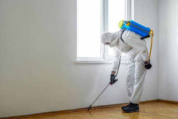 Best Pest Control Near Me in Elm City, NC