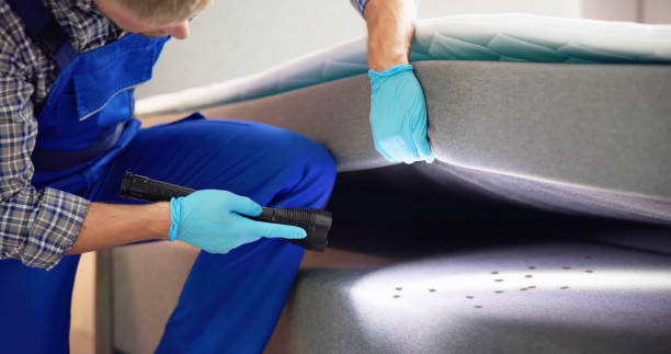 Best Pest Prevention Services  in Elm City, NC