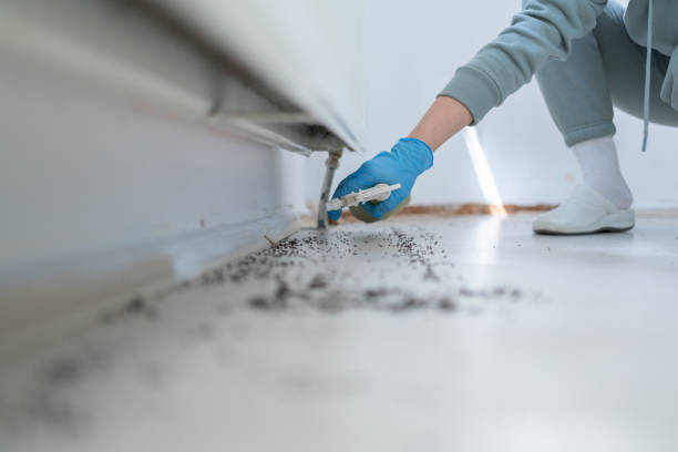 Best Local Pest Control Services  in Elm City, NC