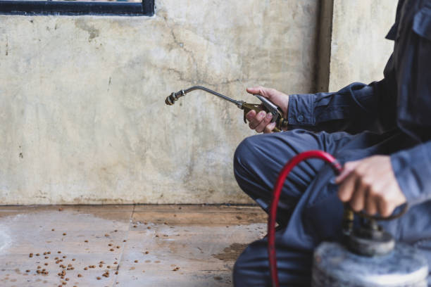 Best Best Pest Control Companies  in Elm City, NC